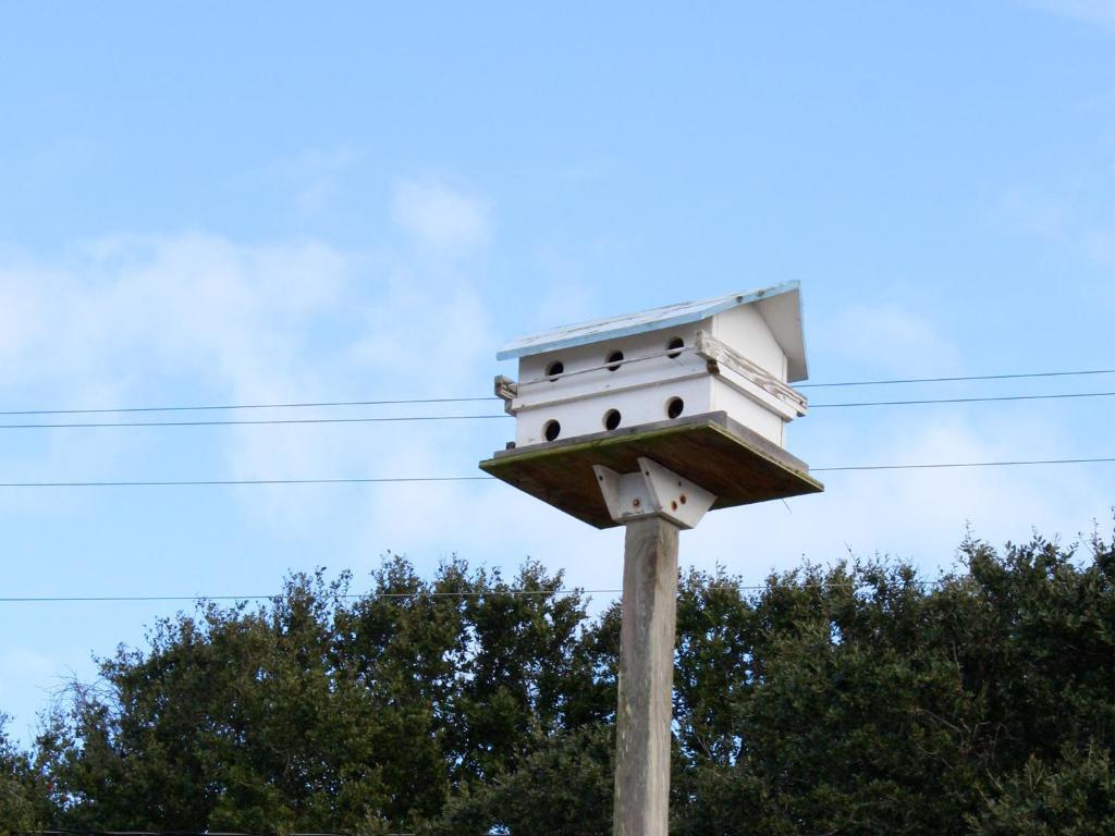 Falcon Motel Buxton Eksteriør bilde